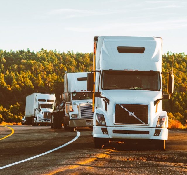 pexels-quintin-gellar-2199293 (1)